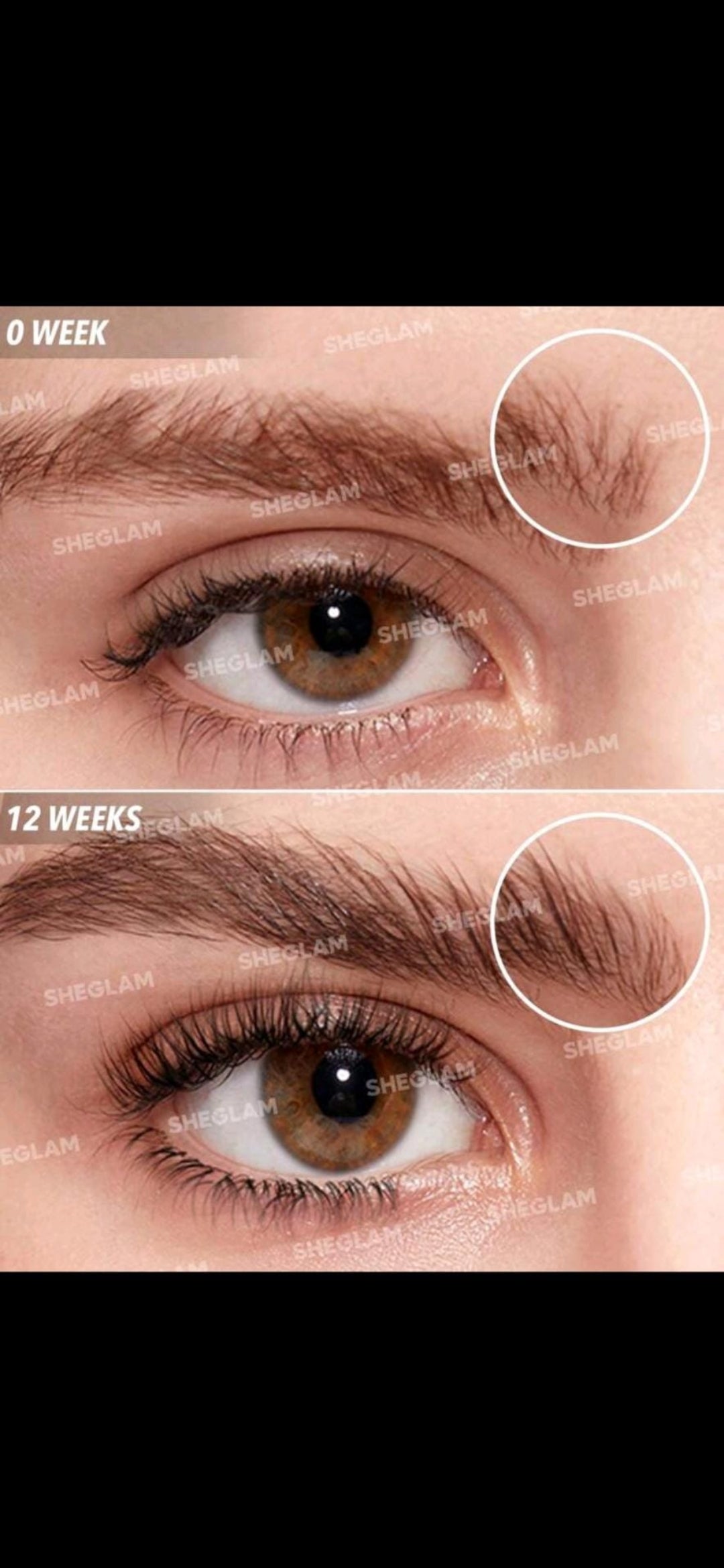 Sheglam Go Pro Nourishing Lash Serum