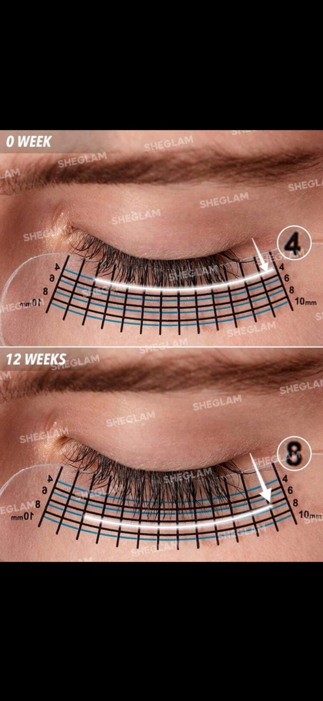 Sheglam Go Pro Nourishing Lash Serum