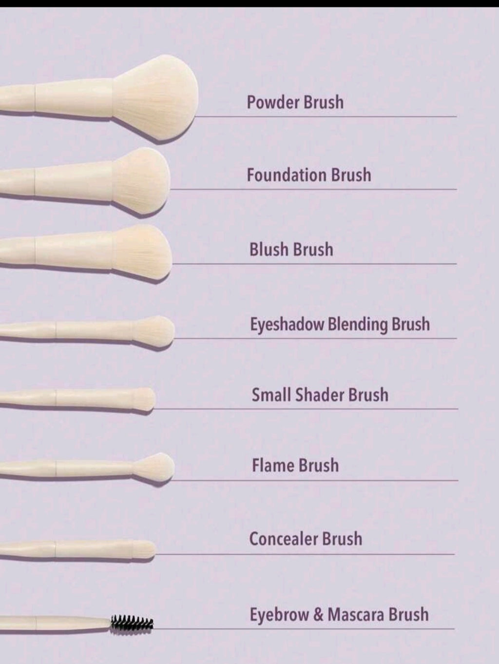 Sheglam Pro Core Brush Kit