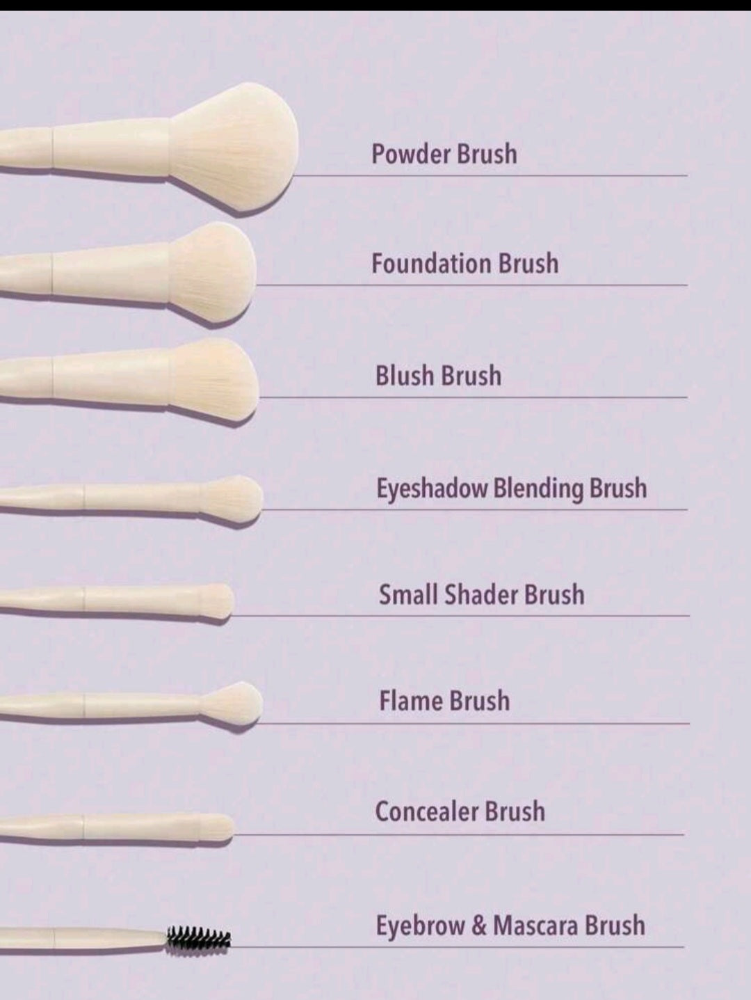 Sheglam Pro Core Brush Kit