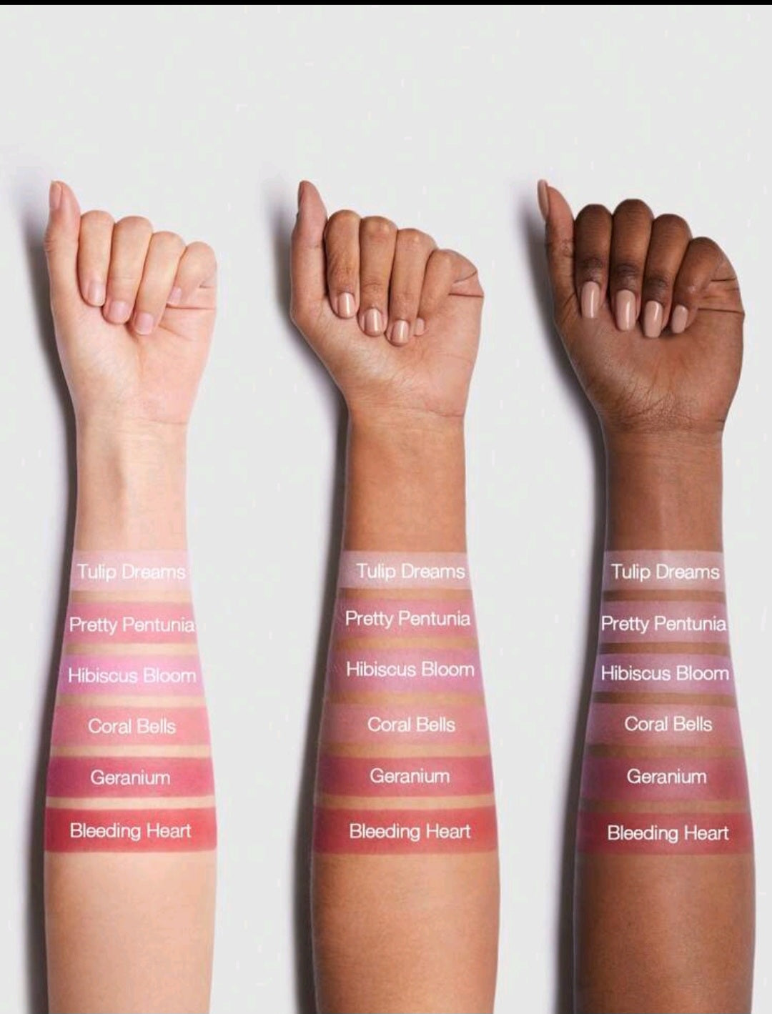 Sheglam Floral Blush Flush Palette